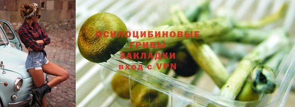 круглые Богородицк