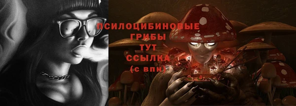 крисы Бугульма