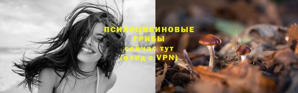 spice Бородино