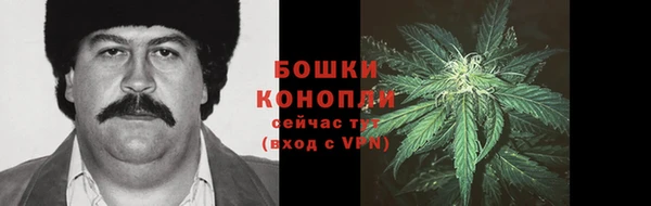 spice Бородино