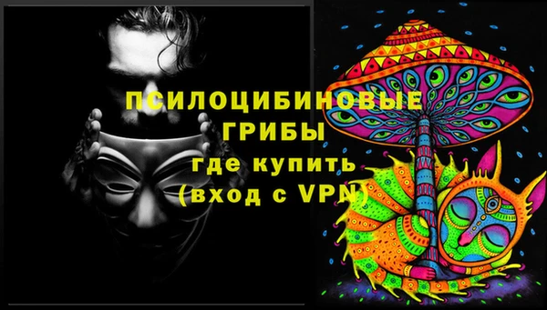 крисы Бугульма