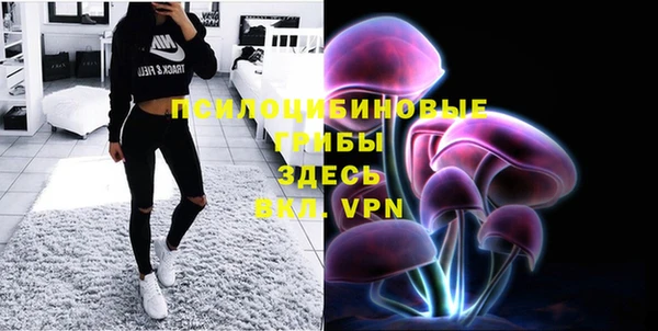 экстази Богданович