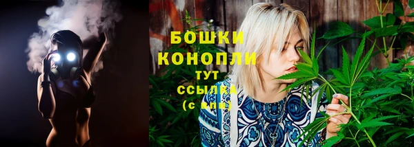 крисы Бугульма