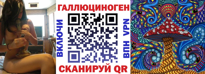 blacksprut ТОР  Навашино  Псилоцибиновые грибы мицелий 